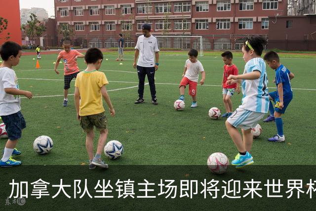 加拿大队坐镇主场即将迎来世界杯首战